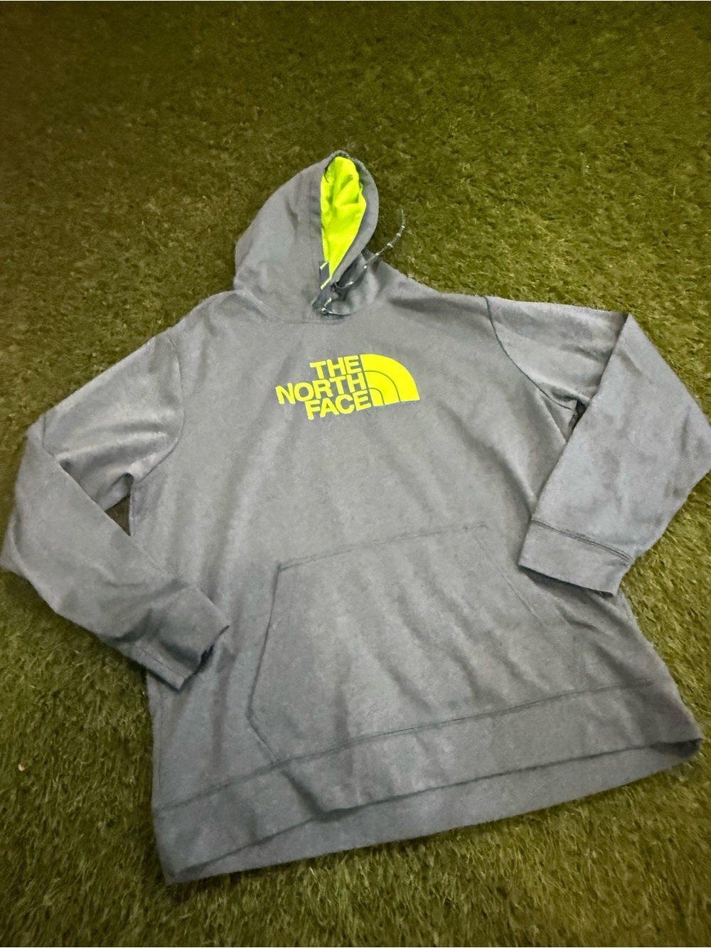 The north Face Hooded Sweatshirt